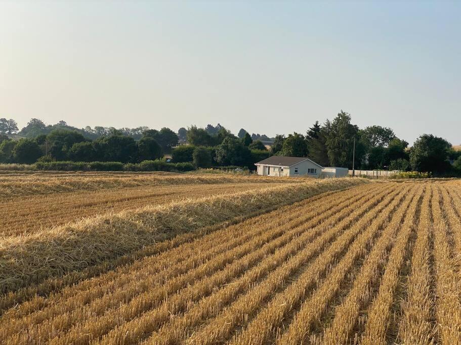 Cosy With Views, Walks, Garden & Parking. Holiday home *