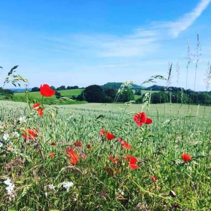 Cosy With Views, Walks, Garden & Parking. Worcester