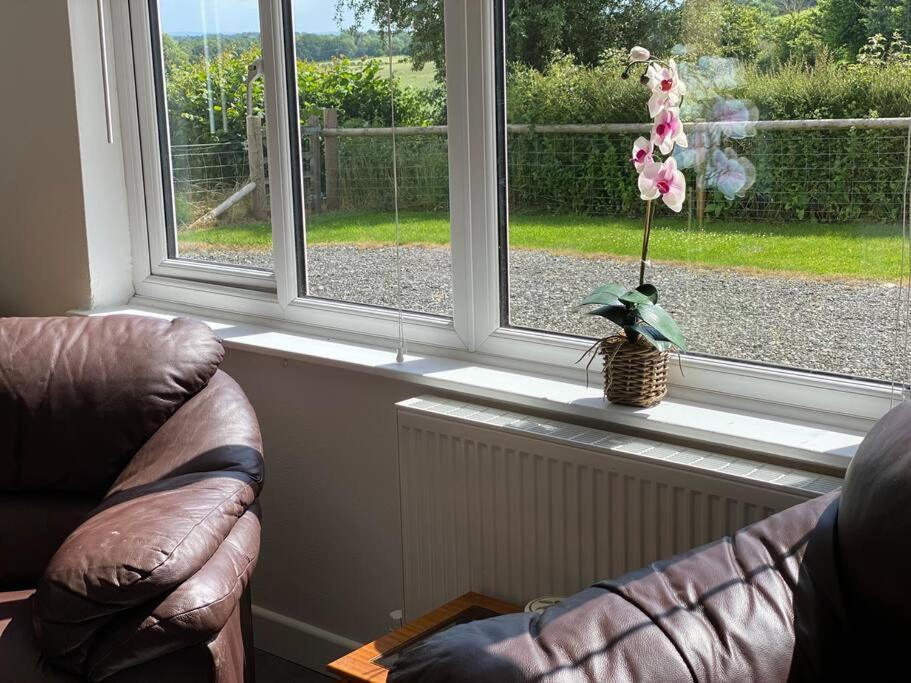Cosy With Views, Walks, Garden & Parking. Worcester